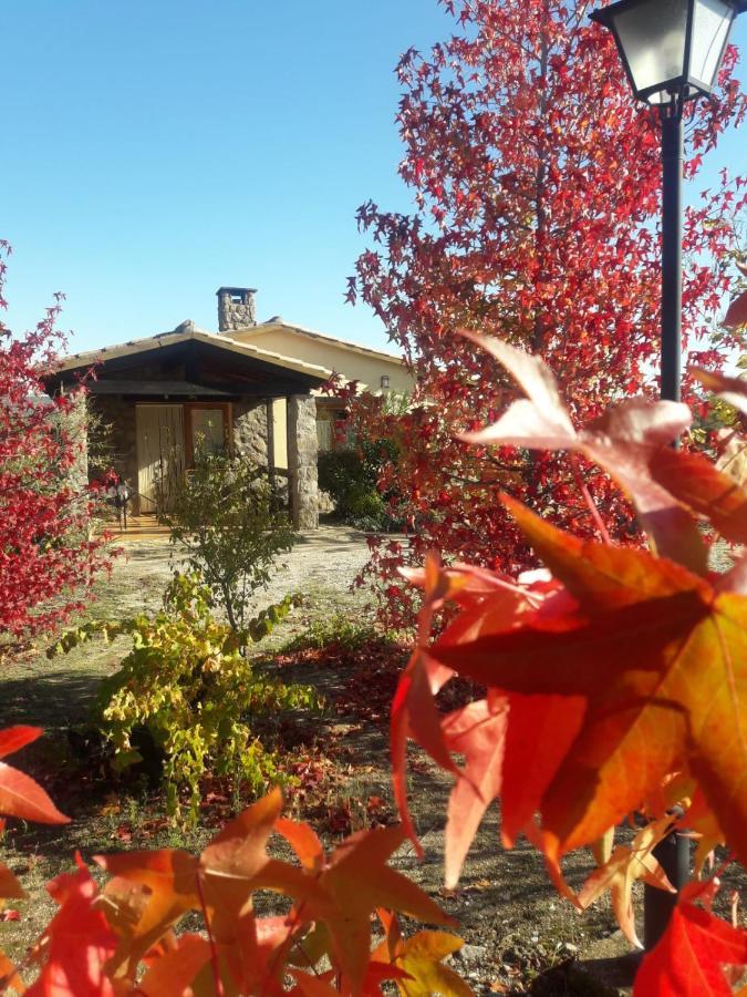 Casa Rural Amarilla Ávila Dış mekan fotoğraf